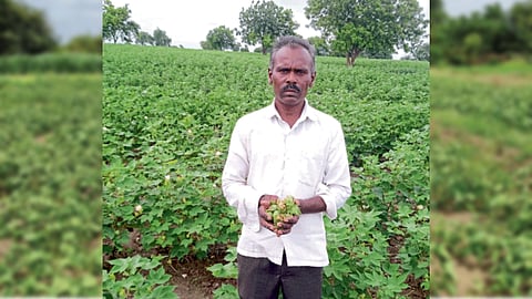 Cotton
