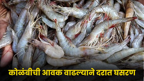 Prawns 
