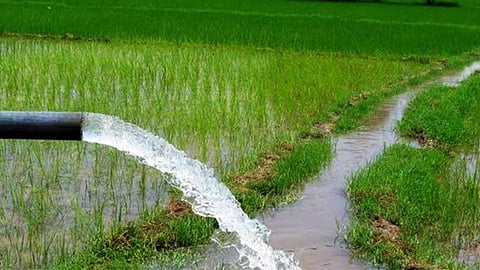 Land Act