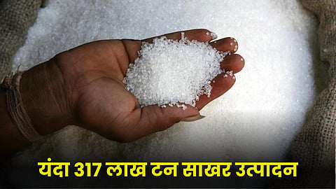 Sugar Production