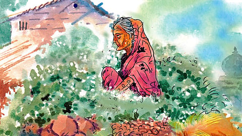 Rural Story  