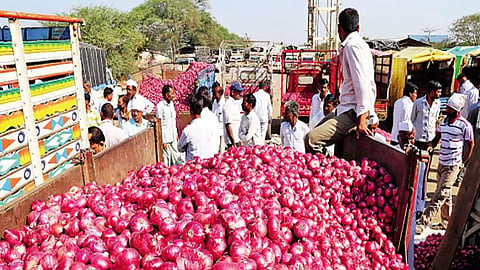 Onion Auction Nashik