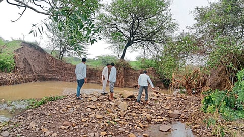 Agriculture Damage 