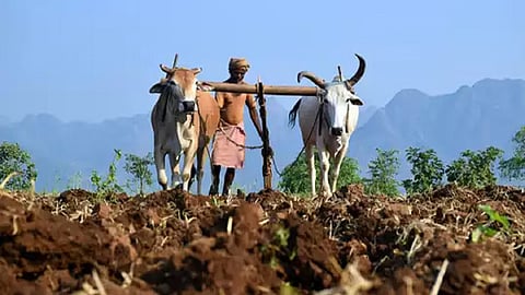 Natural Farming 