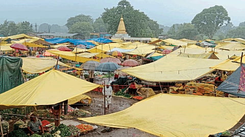 Rain Update 