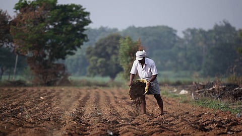 Farmer