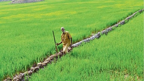 Kharif Season