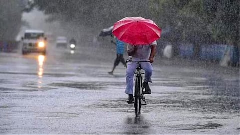 Rain Forecast 