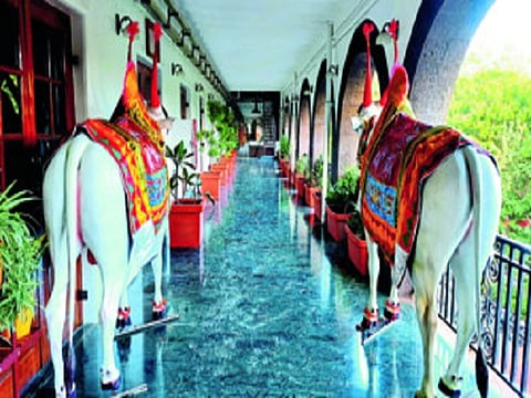 Commissionarate of Agriculture office