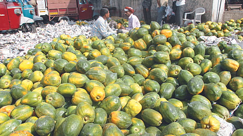 Papaya Market 