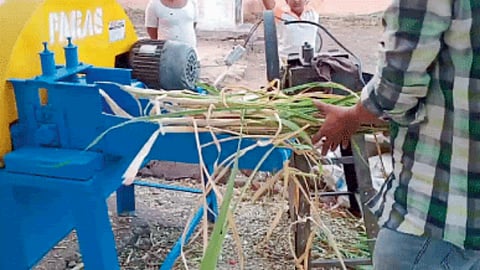 Kadaba Kutti 