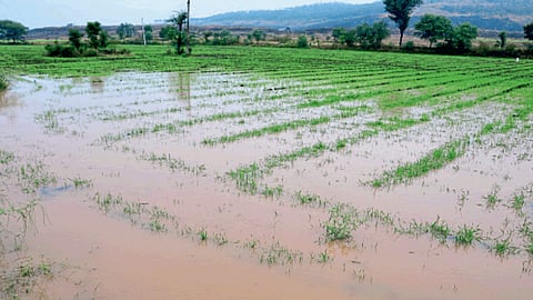 Rain Update 