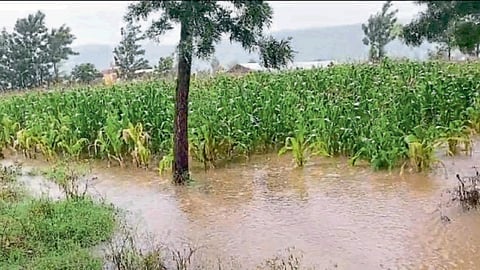 Nashik Rain