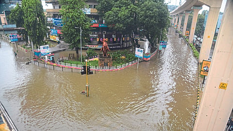 Rain Update