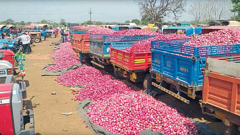 Onion Market