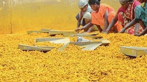 Turmeric Market 