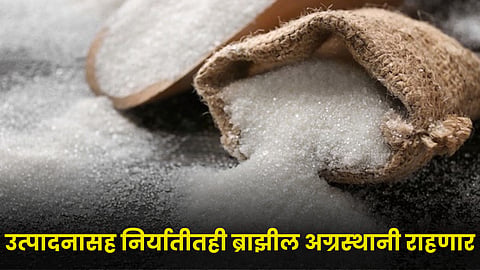 Sugar Market