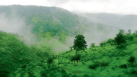 Nature 
