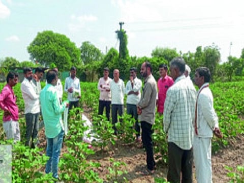 Farmer Success Story