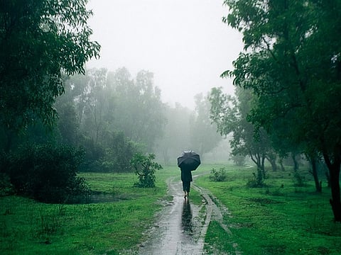 back to Monsoon