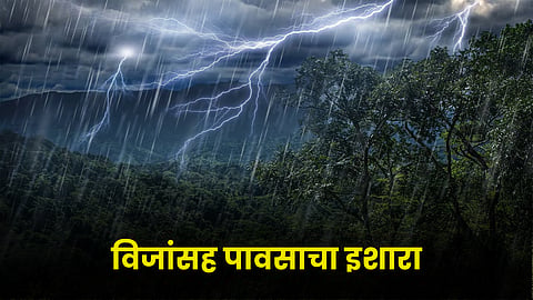 Rain Forecast