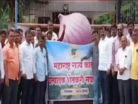 Nashik Onion farmer