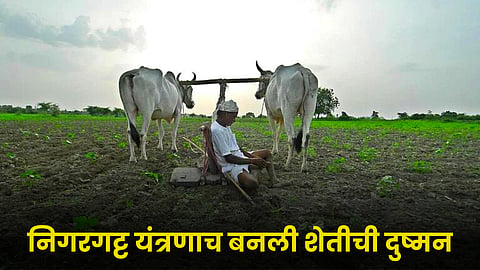 Agriculture 