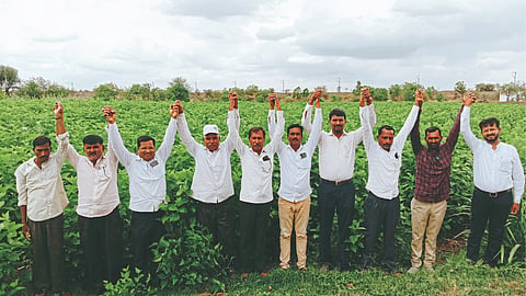 Silk Farming
