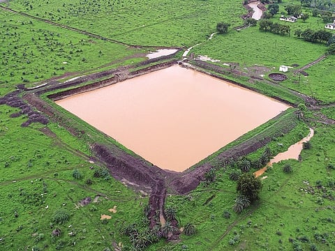 Farm Pond
