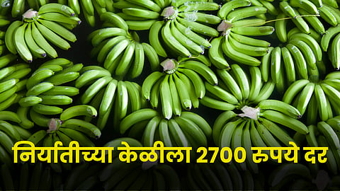 Banana Market