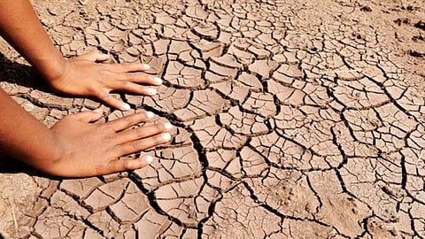 Drought in Sangli