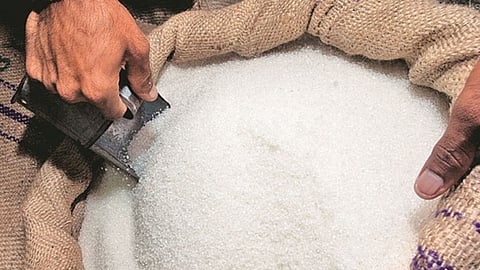 Sugar