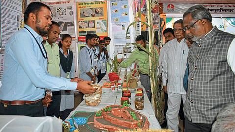 Agriculture Inputs