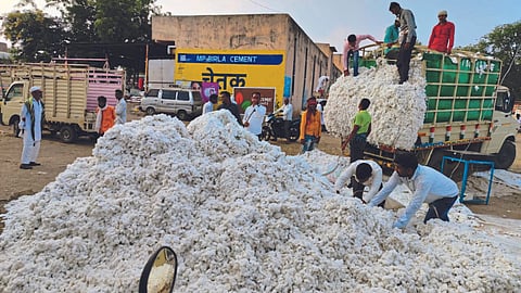 Cotton Market
