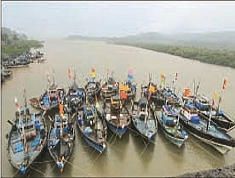 fishery business