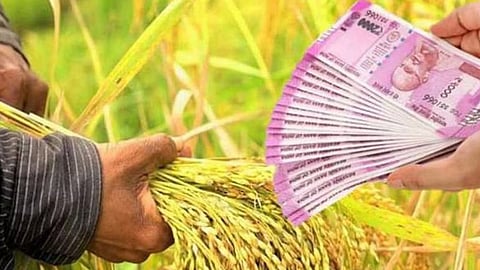 Farmer Loan