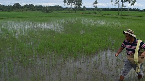 Manipur affected farmers