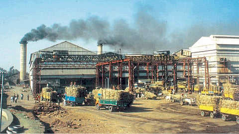 Sugar Factory