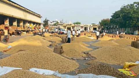 Soybean Market