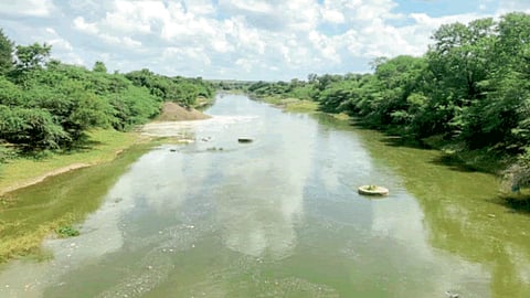 Seena River