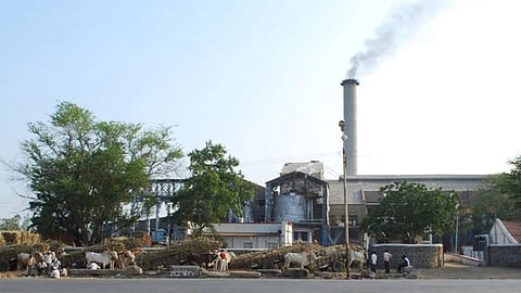 Sugarcane Rate