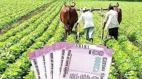 PM Kisan