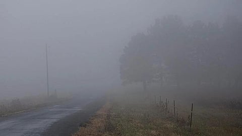 Fog