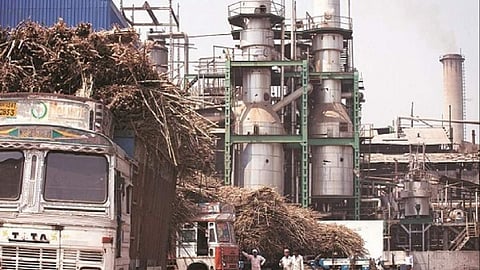 Sugarcane Rate