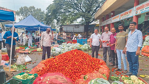 Tomato Market 