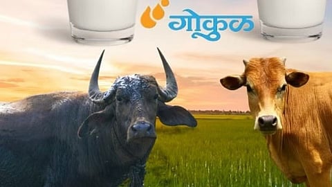 Gokul Milk Rate