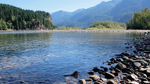 River Ecosystem