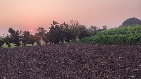 Agriculture 