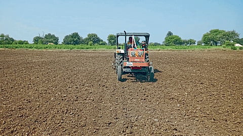 Wheat Sowing 