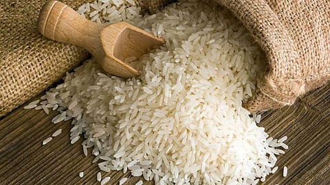 Export Non Basmati Rice